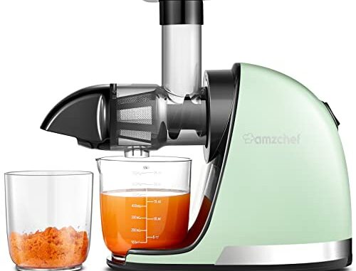 AMZCHEFLicuadoraprensadoenfroExtractordezumosyverdurasLicuadorasparazumoscon2depsitosycepilloColdpressslowjuicermachineconfuncindemasticacininversaVerde