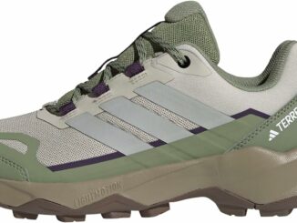 adidas Mujer Terrex Skychaser Ax5 Hiking Shoes, Wonder Alumina/Grey Two/Tent Green, 39 1/3 EU