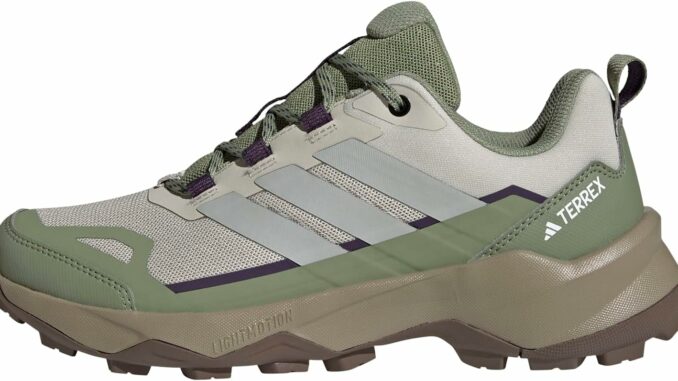 adidas Mujer Terrex Skychaser Ax5 Hiking Shoes, Wonder Alumina/Grey Two/Tent Green, 39 1/3 EU