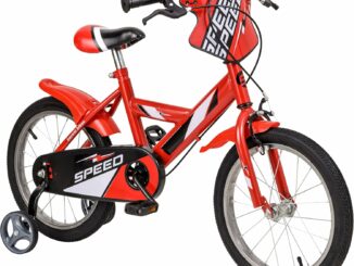 Bicicleta Niños 16 Pulgadas con Frenos Doble