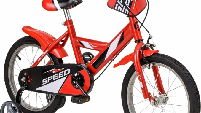 Bicicleta Niños 16 Pulgadas con Frenos Doble