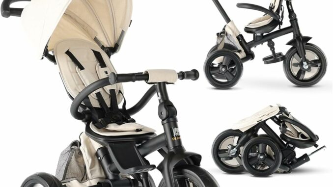Deryan Explorer Triciclo 9 Meses a 25 kg – Evolutivo, Bicicleta Sin Pedales, Bicicleta Bebe,
