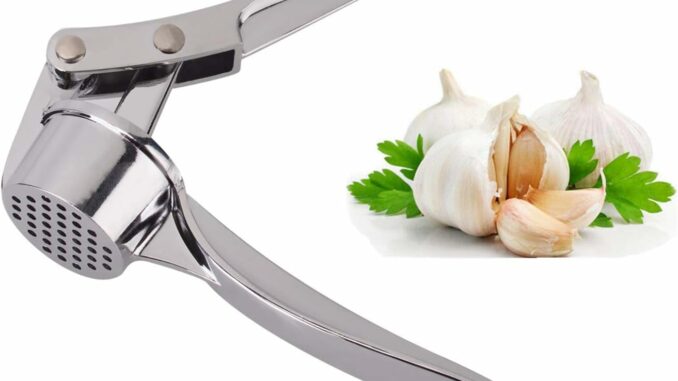 Jsdoin Prensa de ajo profesional para cocina, picadora ajo, trituradora jengibre del Reino Unido,