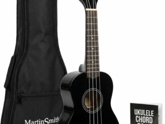 Ukelele Soprano 21 Pulgadas Principiante