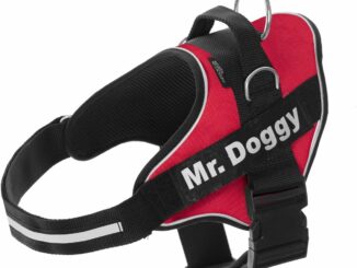 Amazon.es: Productos para mascotas - Amazon.es: