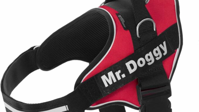 Amazon.es: Productos para mascotas - Amazon.es: