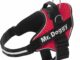 Amazon.es: Productos para mascotas - Amazon.es: