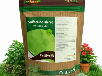 Amazon.es: Jardín - Amazon.es: