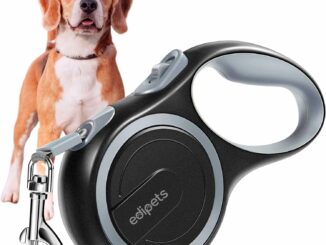 Amazon.es: Productos para mascotas - Amazon.es: