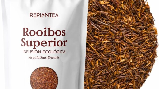 Te Rooibos Organico 100 Bolsitas