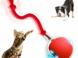 Pelota Perro Interactiva Dispensadora Comida