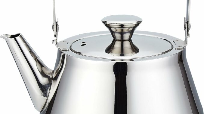 SANQIAHOME Tetera de acero inoxidable de 1.2 Litros con infusor Un estilo moderno y minimalista