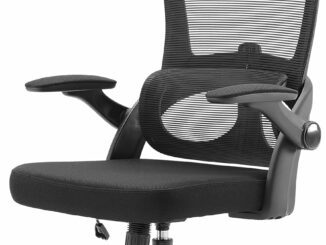 Silla Ergonomica Variable Balans Monocromo Ciruela