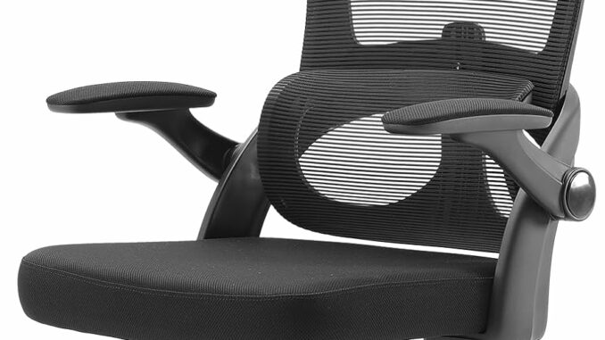 Silla Ergonomica Variable Balans Monocromo Ciruela